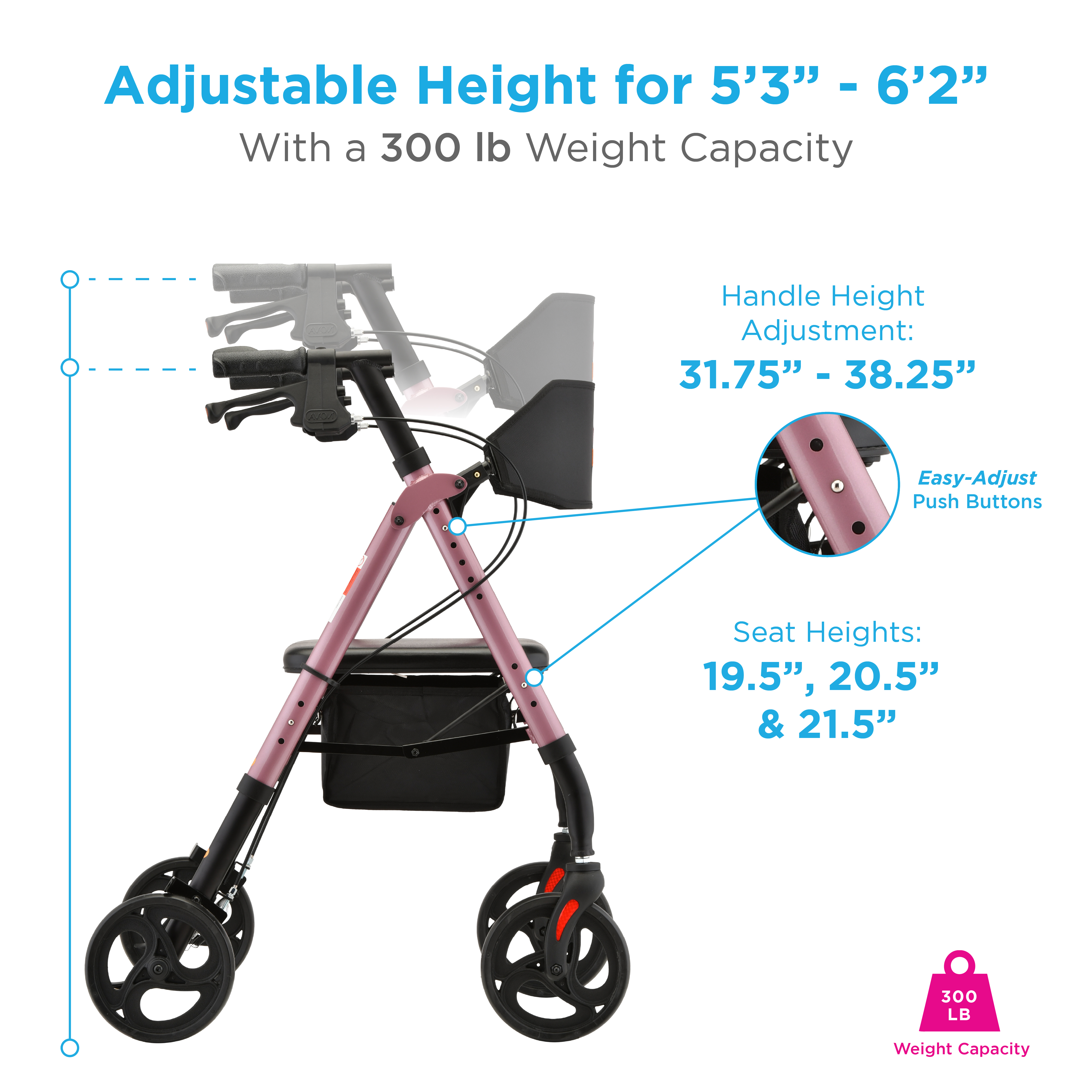 4258PK INFOGRAPHIC 4.jpg